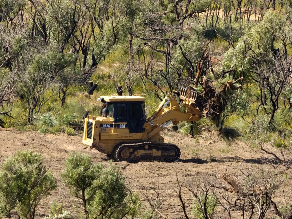 Clearing Vegetation