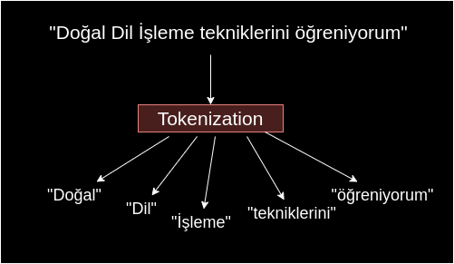 Tokenizasyon